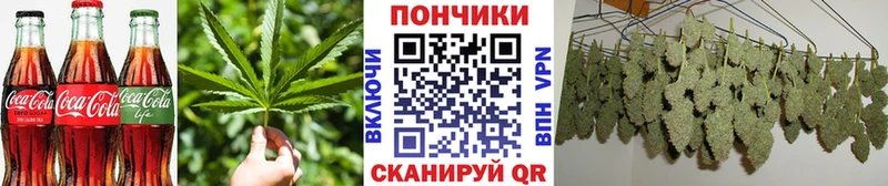 Купить закладки  Каменка  Еда ТГК марихуана 