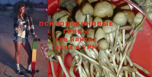 крисы Горно-Алтайск