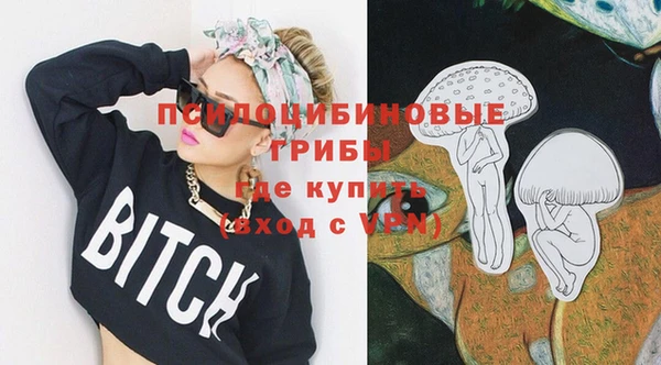 крисы Горно-Алтайск