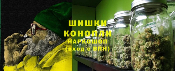 стаф Горнозаводск
