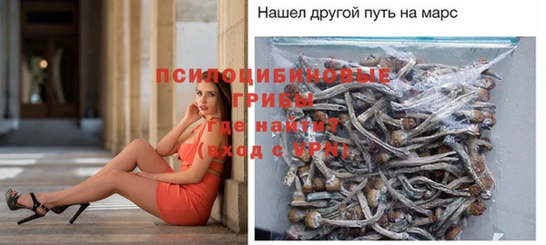крисы Горно-Алтайск